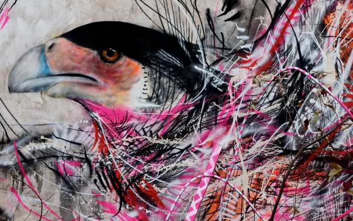 Graffiti by L7M: Audubon, Brazil (3 of 51)
