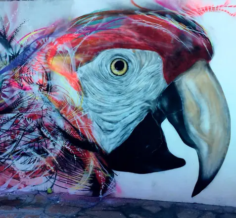 L7M: Street artist from São Paulo, Brazil