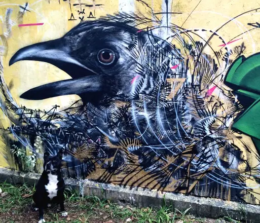 Graffiti by L7M: Crow (13 of 51)