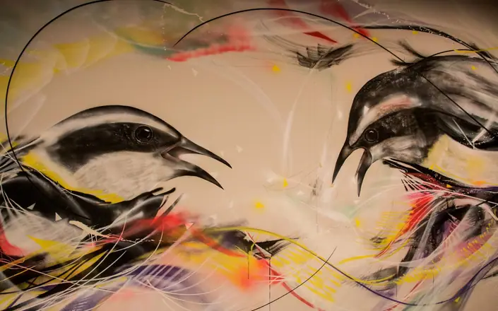 Graffiti by L7M: Detail, Brazil (50 of 51)