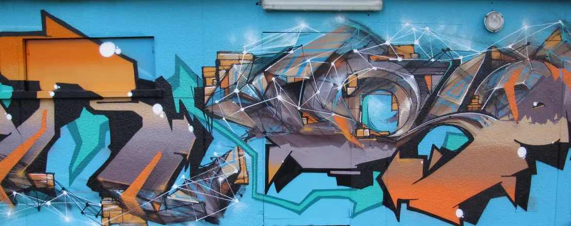 Graffiti by Sofles: With Gomer, Paris (8 of 53)