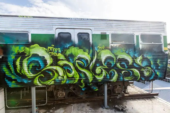 Graffiti by Sofles: Train (9 of 53)