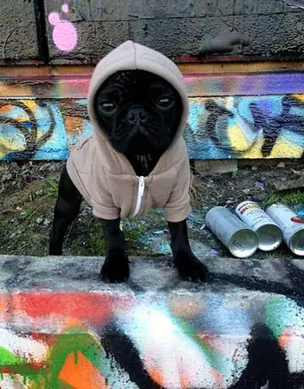 Graffiti from around the world, Gallery Uno (55 of 215)
